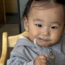 닐리파스타앤피자 이미지