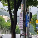 주정차단속-129 | 맛강정치킨 평내점 :: 겉바속촉 닭강정 치킨들의 만남의 장소 남양주 맛집