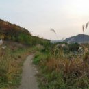 기아대교 이미지