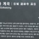 도림사계곡 이미지