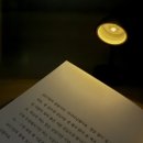 육회지존익산부송점 | 겨울이 꽃을 시샘하듯