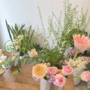 상남동258 이미지