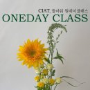 씨앗플라워스튜디오 네이버블로그