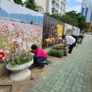 수택1동 행정복지센터 이미지