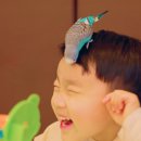 리프패럿시민공원점