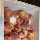 동석상회 이미지