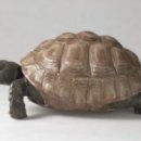 토끼와거북이2 이미지