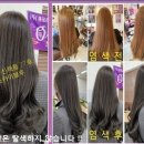 큐사랑은평 네이버블로그