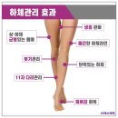 JS에스테틱