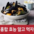 홍합의효능 이미지
