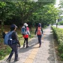 내곡동508 이미지