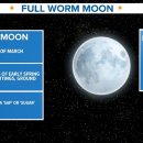 월/화요일 이번 봄의 첫 보름달 보러 나가세요 (Full worm moon 혹은 슈가문) 이미지