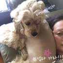 묭