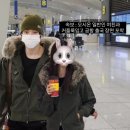 진현나라 | 유우시여친이라쓰고 유우시에미친여자라고 읽음