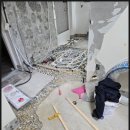 새빛인테리어 이미지