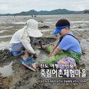 명천체험마을 | 진도 갯벌 체험 아이와 조개 잡이 후기! 죽림 어촌체험마을