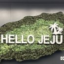 신안 김밥나라 앞 | [맛집] 제주도 - 연돈 웨이팅, 오는정김밥 전화예약 성공기/꿀팁 및 솔직후기