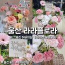 꽃나래 꽃디자인 | 울산 동구 꽃집 어버이날 꽃 24시 라라플로라 카네이션 꽃바구니 추천