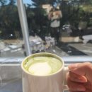 화순 | 화순 데이트 맛집 화순하다 내돈내산 후기 행복했다