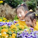 삼애어린이집 이미지