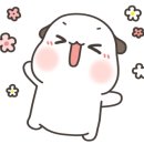 뉴덴트 이미지