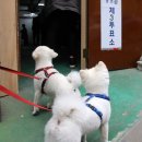 소아경로당 이미지