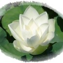 천공사