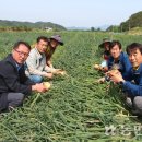 영순농업협동조합 이미지
