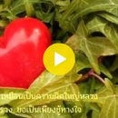 ชู้ทางใจ / Choo Tahng Jai (Mental Lover) 이미지