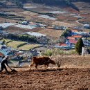 중산초등학교 이미지