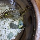 뉴연세음악학원 이미지