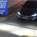 도당로 네이버블로그