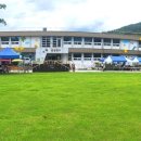 꿀벌랜드 이미지