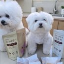 해랑집밥 | "집밥 프로젝트 강아지특식"