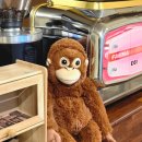 단비넷PC방 이미지