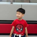 TK 태권도장 이미지