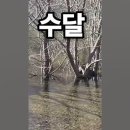 구읍둘레길. 교동저수지(교동생태습지) 수달과 삵이 서식하고 정지용-육영수의 생가 그리고 실개천이 휘돌아 나가고 이미지