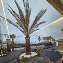 제주역 | 제주 애월 카페 제주애월역 후기 | 쌀 소금빵과 버터떡 추천