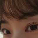 디어르뷰티
