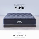 시몬스갤러리광주