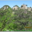 까치산근린공원 이미지