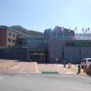 아젤리아 이미지