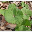 수행정사 이미지