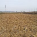 덕산면041 네이버블로그