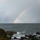 무지개모텔 이미지