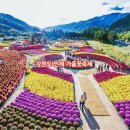 용대관광지2 이미지