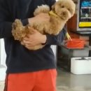 빌리프독 킨더가든 이미지