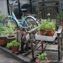 126mansion 이미지