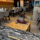 청년감자탕순대국 양산사송점