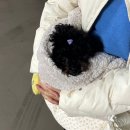 오앤피서울